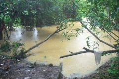 Deux pasteurs noyés dans la lagune lors d’une séance de baptême à Abidjan